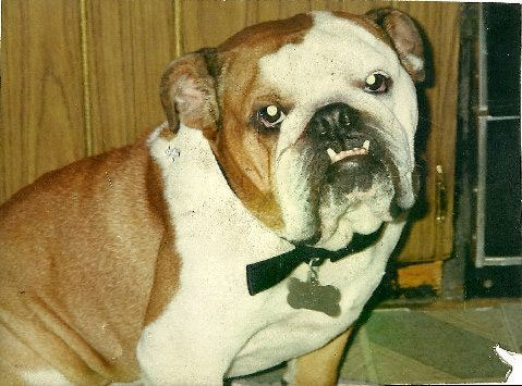 butch1-2.jpg