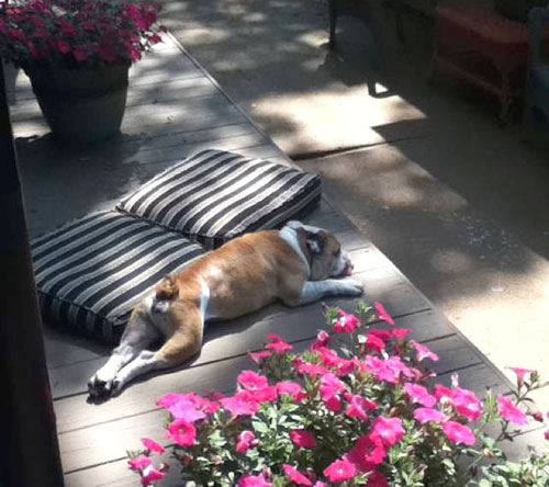 Fred3.jpg