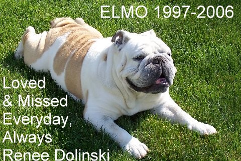 elmo1997-2006.jpg