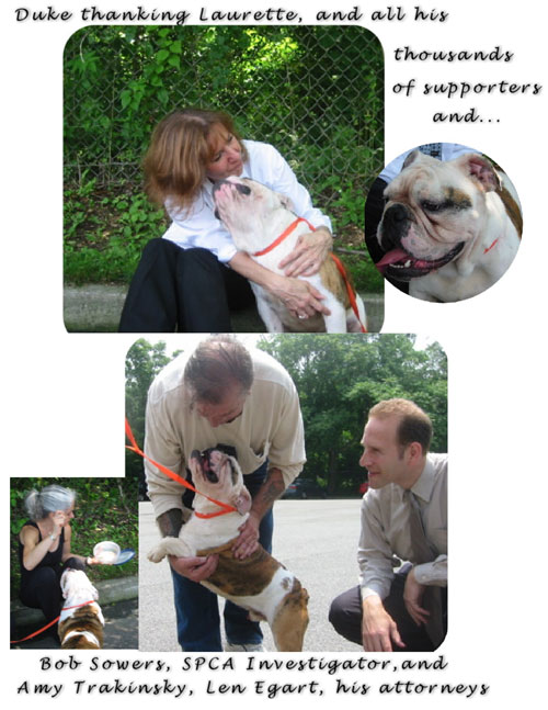 dukecollage3-2.jpg