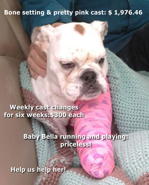 Bella2.jpg