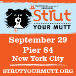 SYM_NYC_150x150.jpg