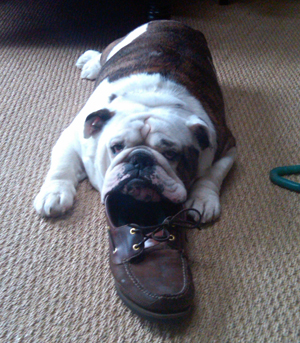 george-2.jpg