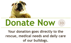 donateNow240.png