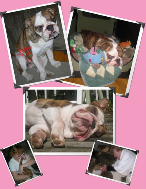 mattiesdaycollage-2.jpg